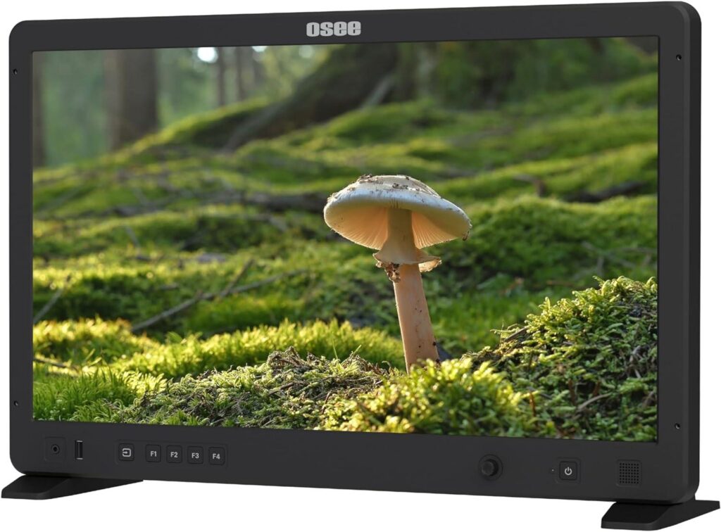 Режиссёрский монитор: OSEE Mega 22 